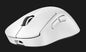 PRO X SUPERLIGHT 2 DEX LIGHTSPEED Wireless Gaming Mouse White