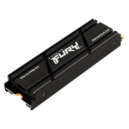 1000G RENEGADE PCIe 4.0 NVMe SSD W/ HEATSINK