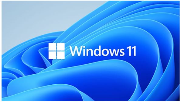 Microsoft Windows 11 Professional for Workstation 64 BIT - By Order NEW